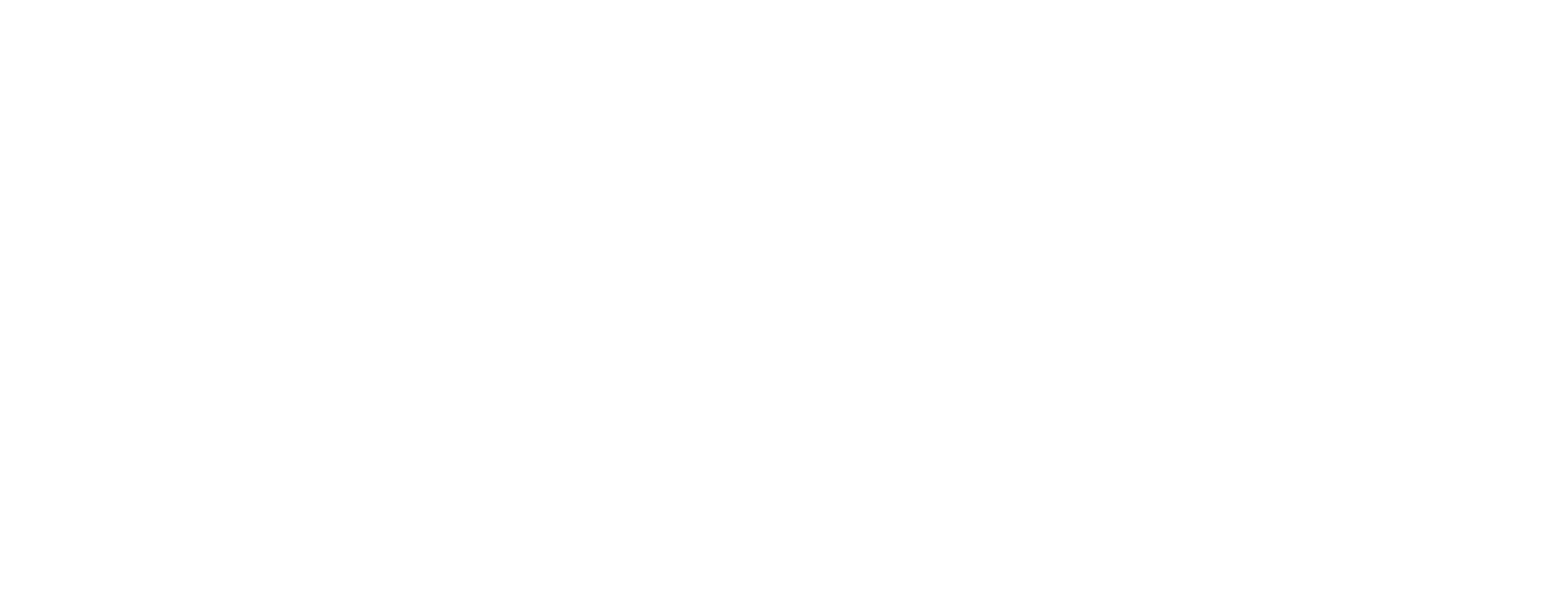 Frieder Tschesche