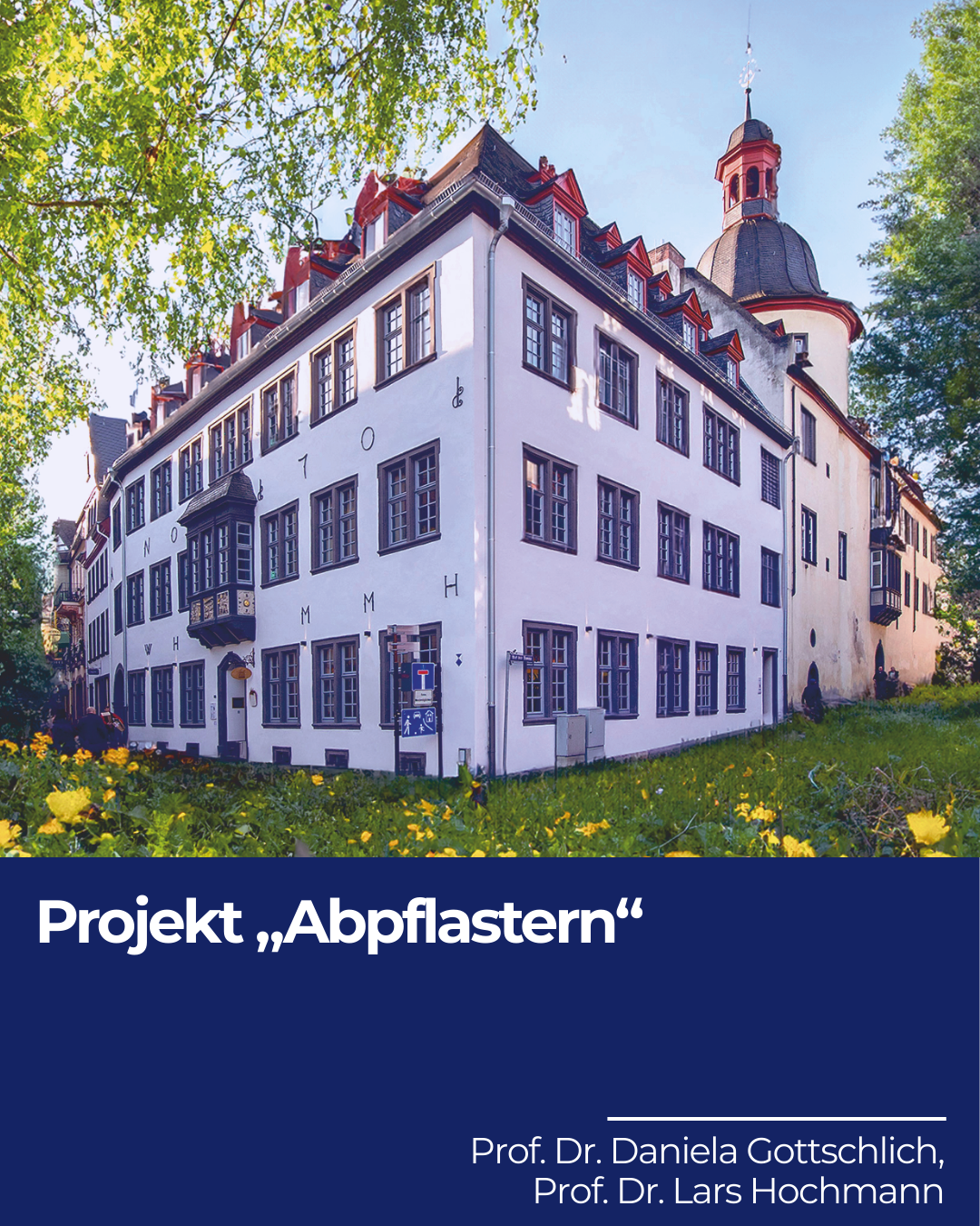 Foto des Dreikönigenhaus umrahmt von Bäumen und Rasen der Hochschule für Gesellschaftsgestaltung