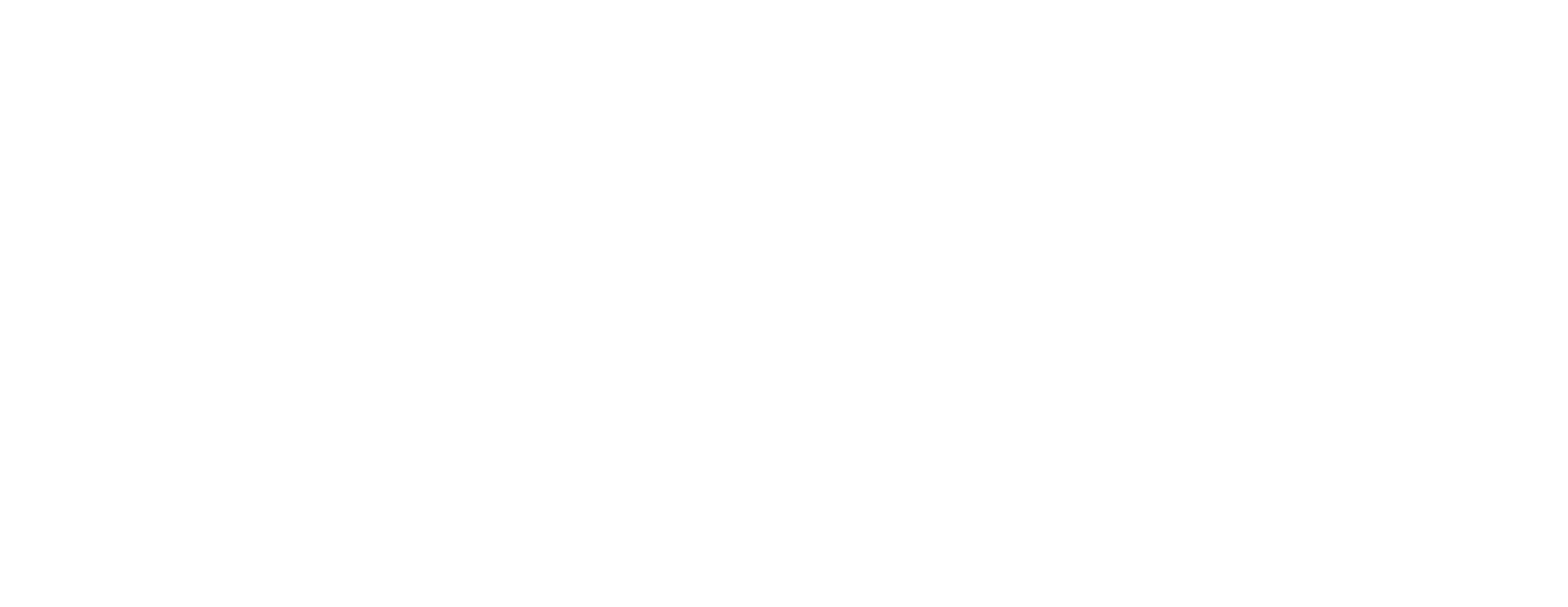 Elia Anschein
